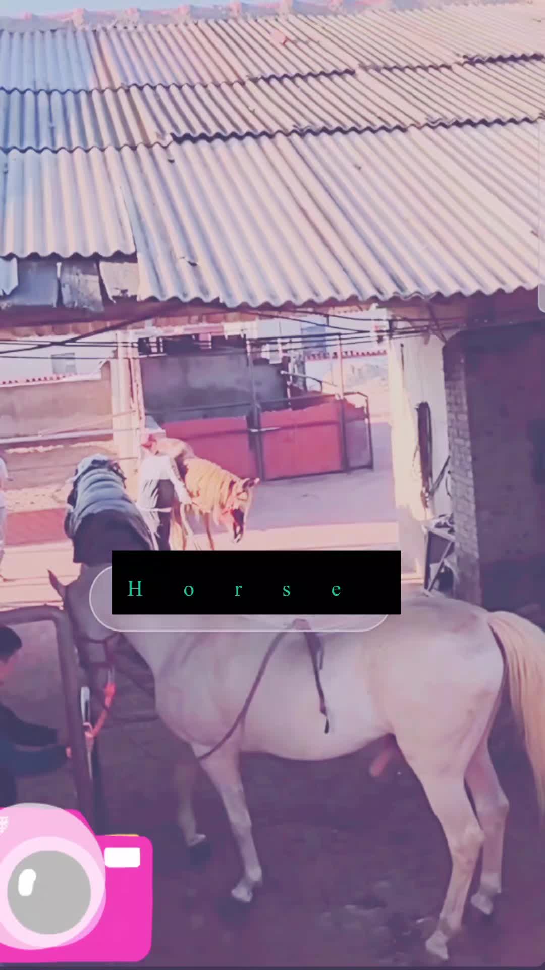 @Sole Nero