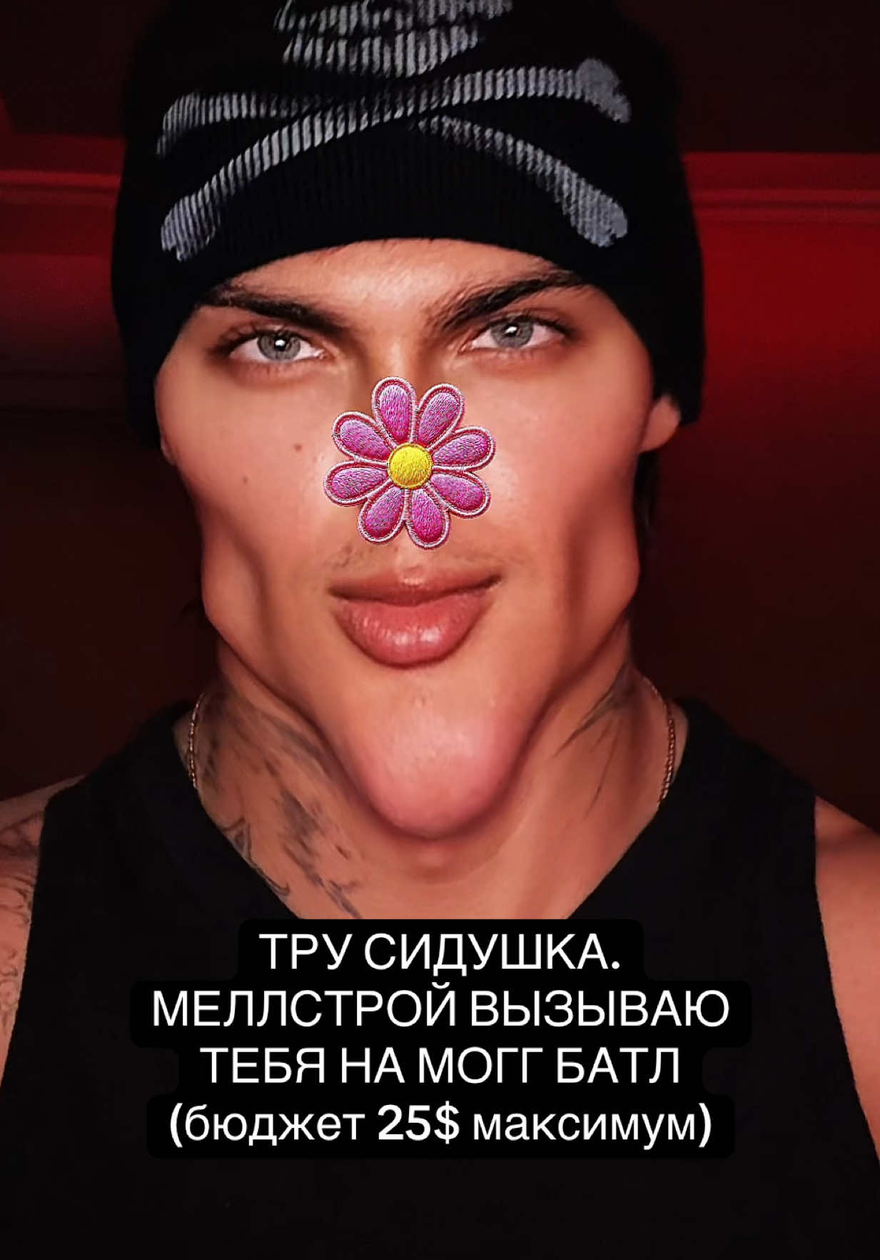@тгк: pepperonimogg