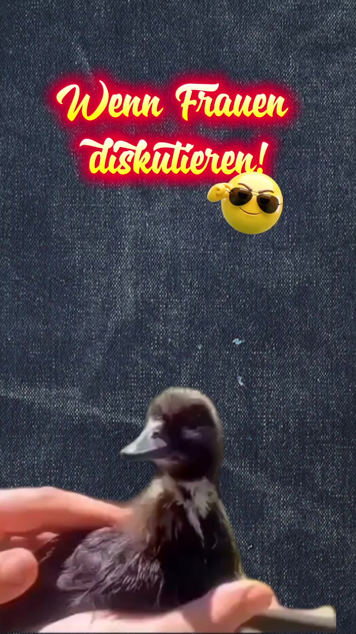 @gino