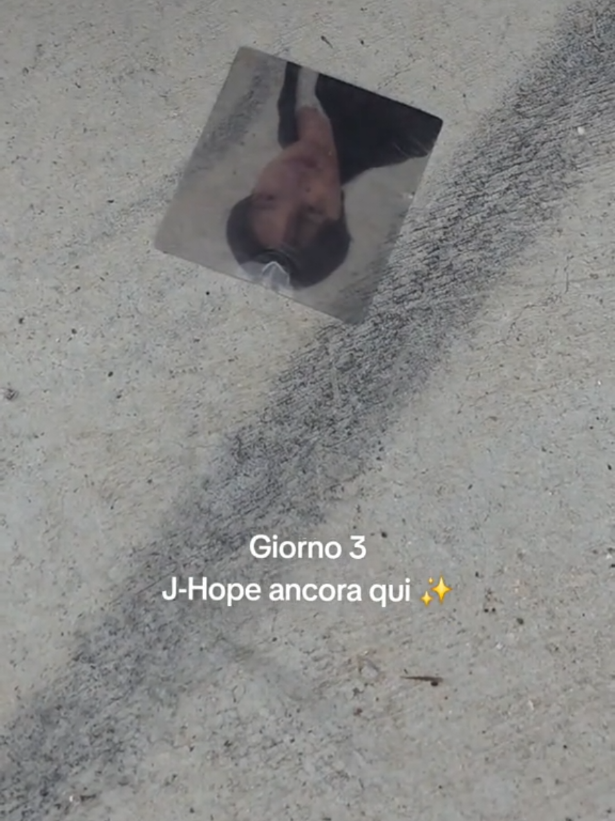 @Sara97🦋