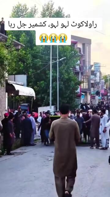 @Dani Abbasi Kashmiri