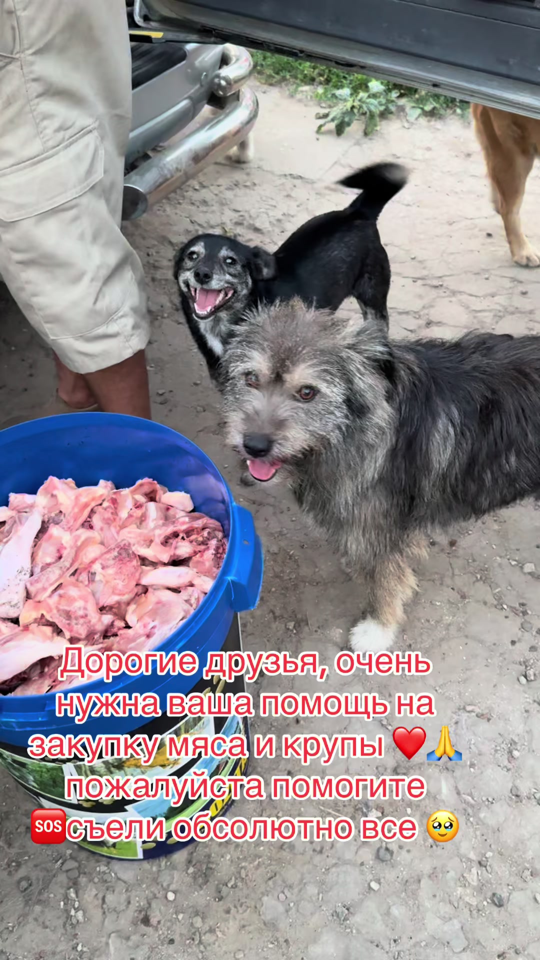 @Лёвка и компания.