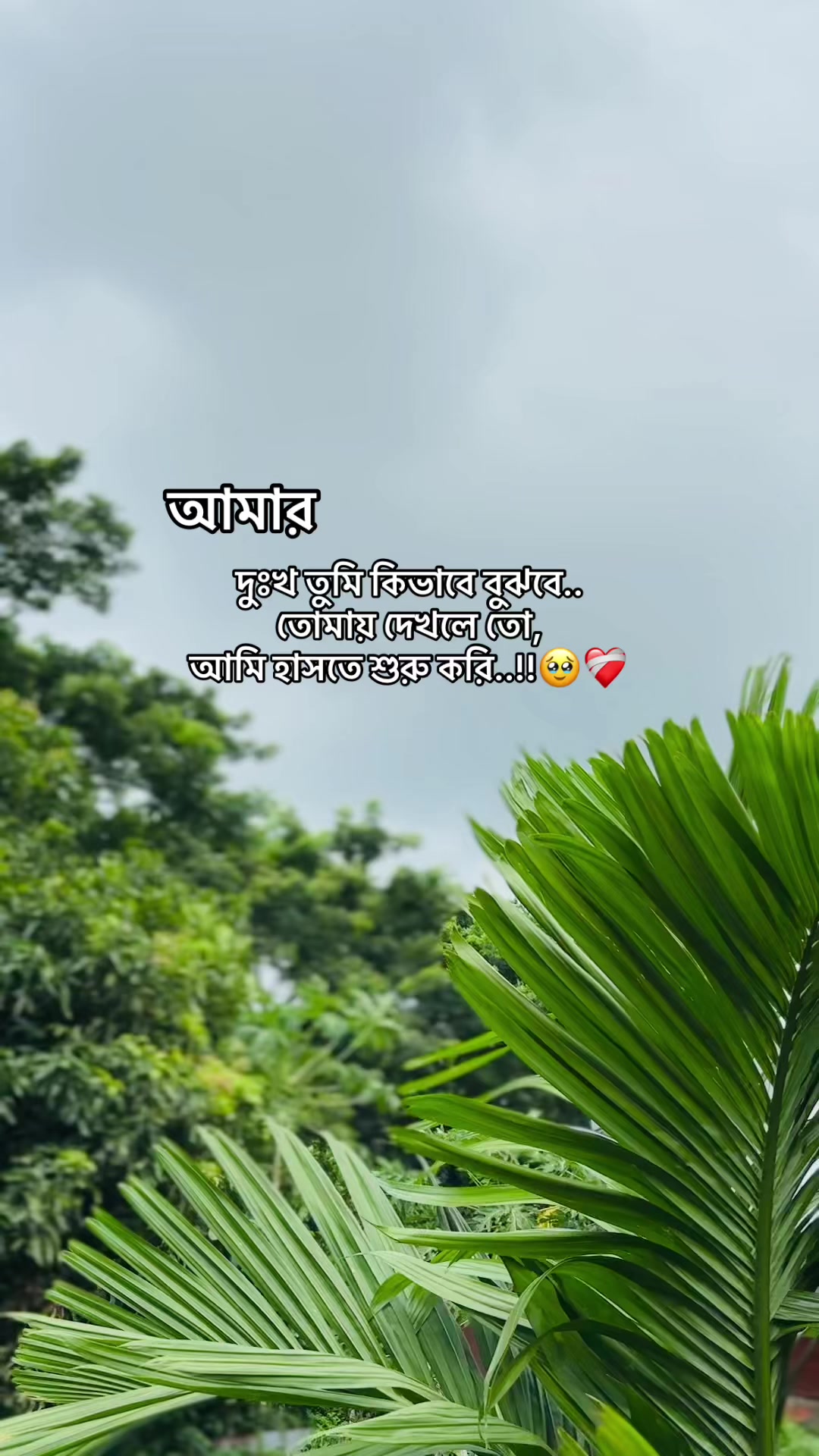 @S i F a T đ¸ī¸đī¸
