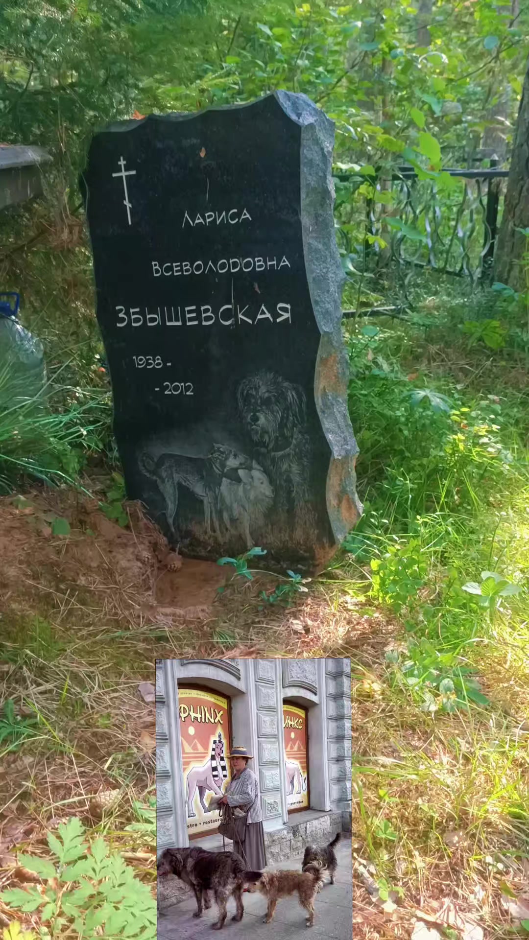 @maxut15/88