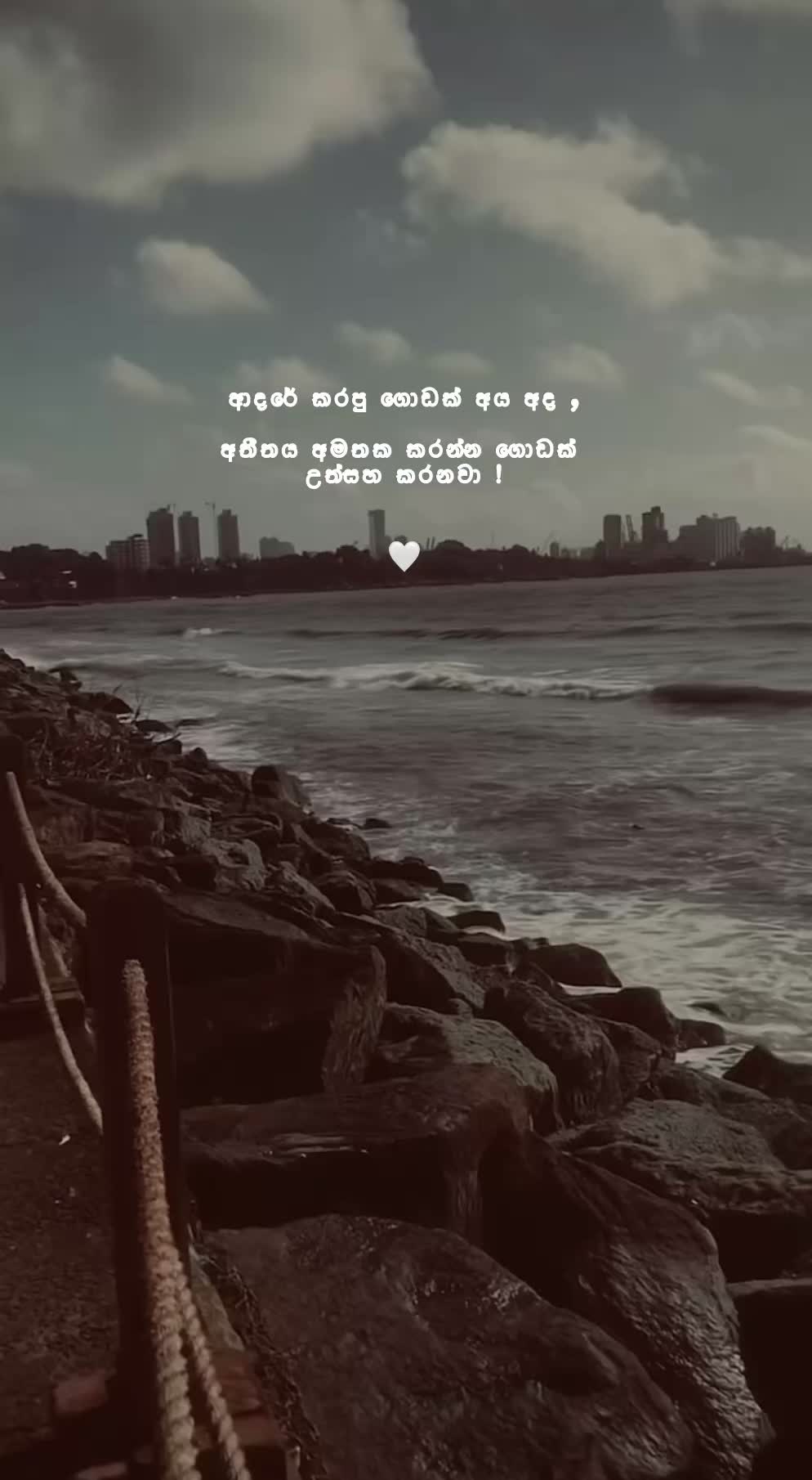 @вloѕѕoм 🤍
