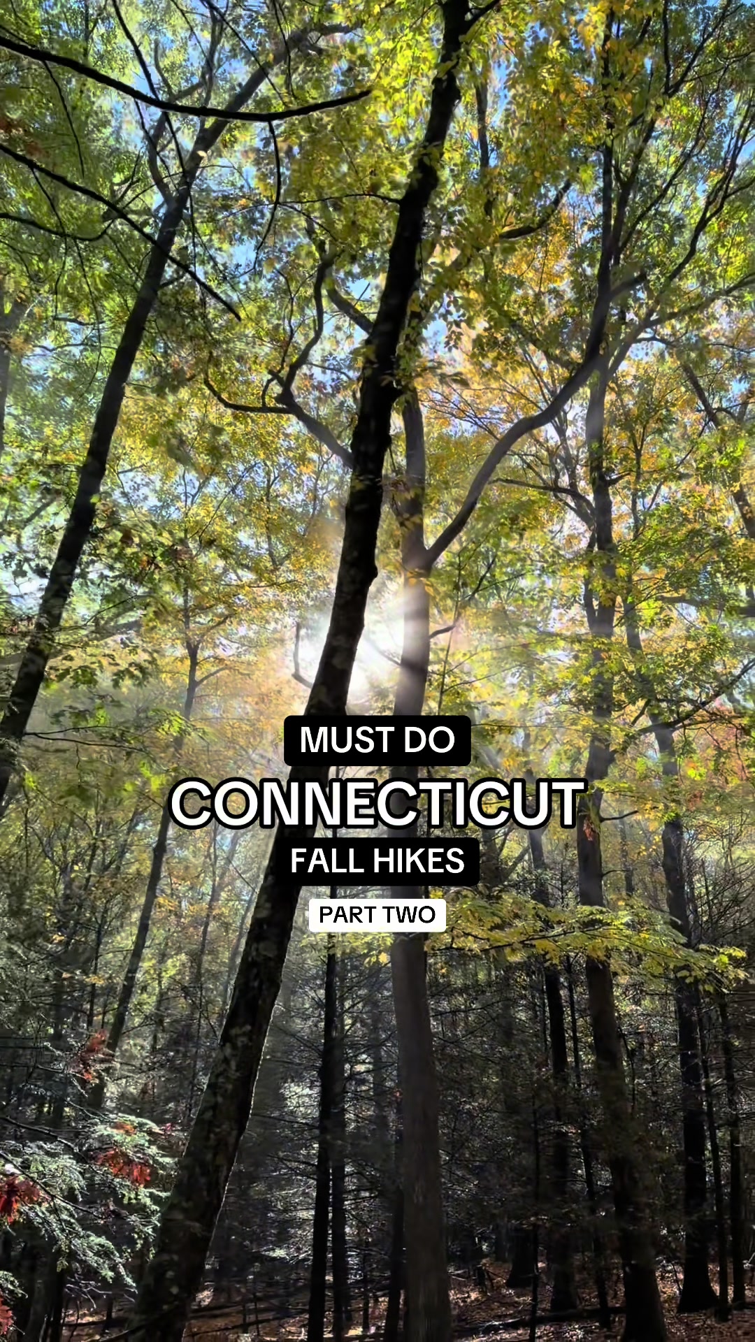 @tasteconnecticut