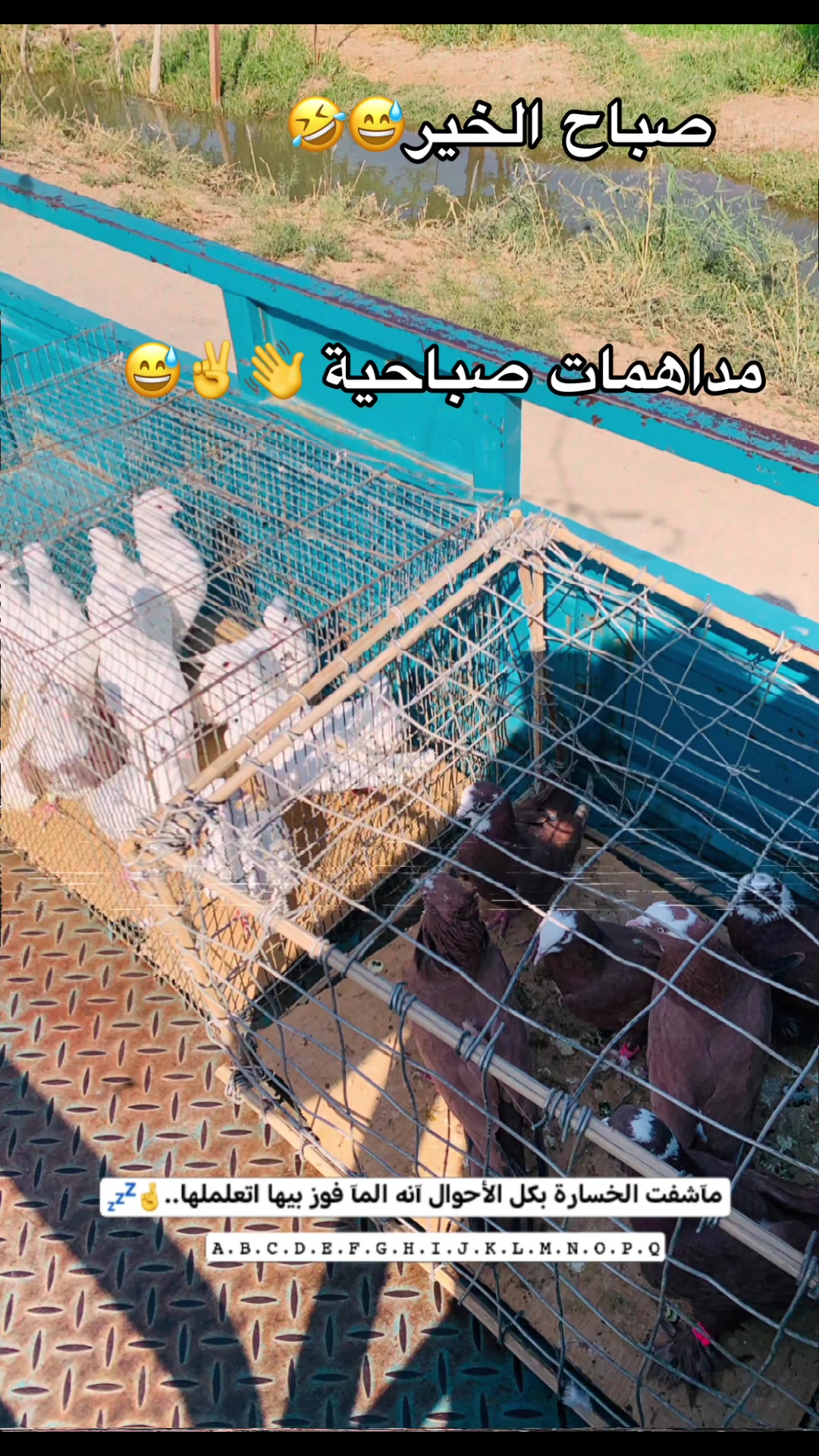 @sc___92