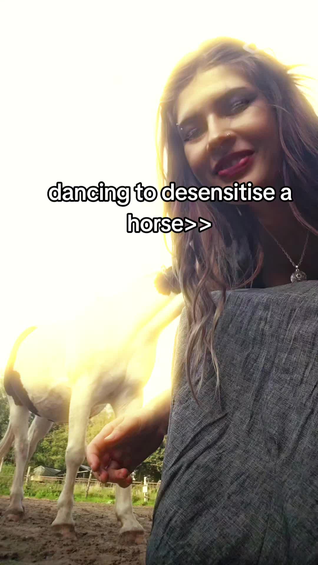 @Dino and horses