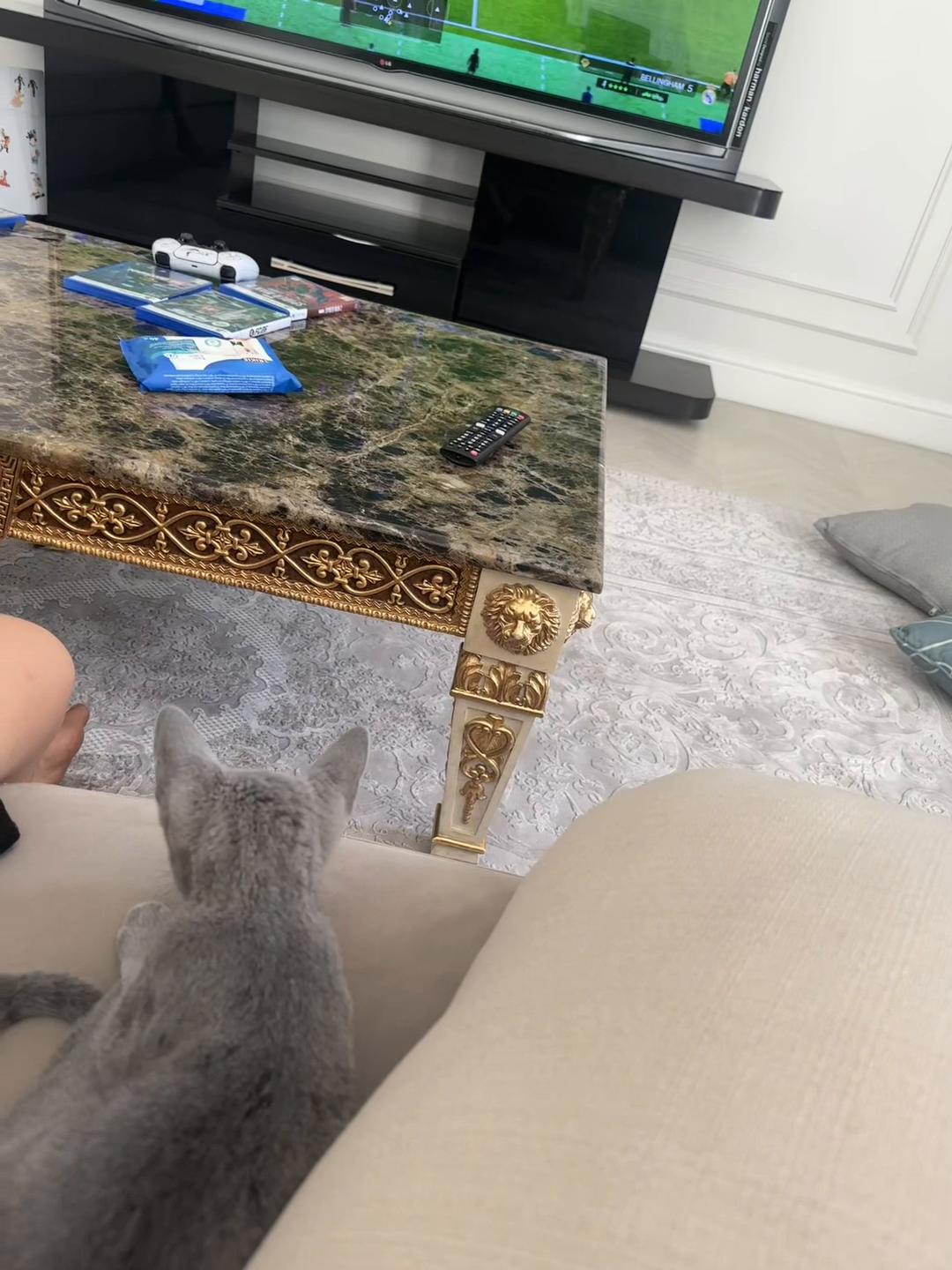 @qwertyk210