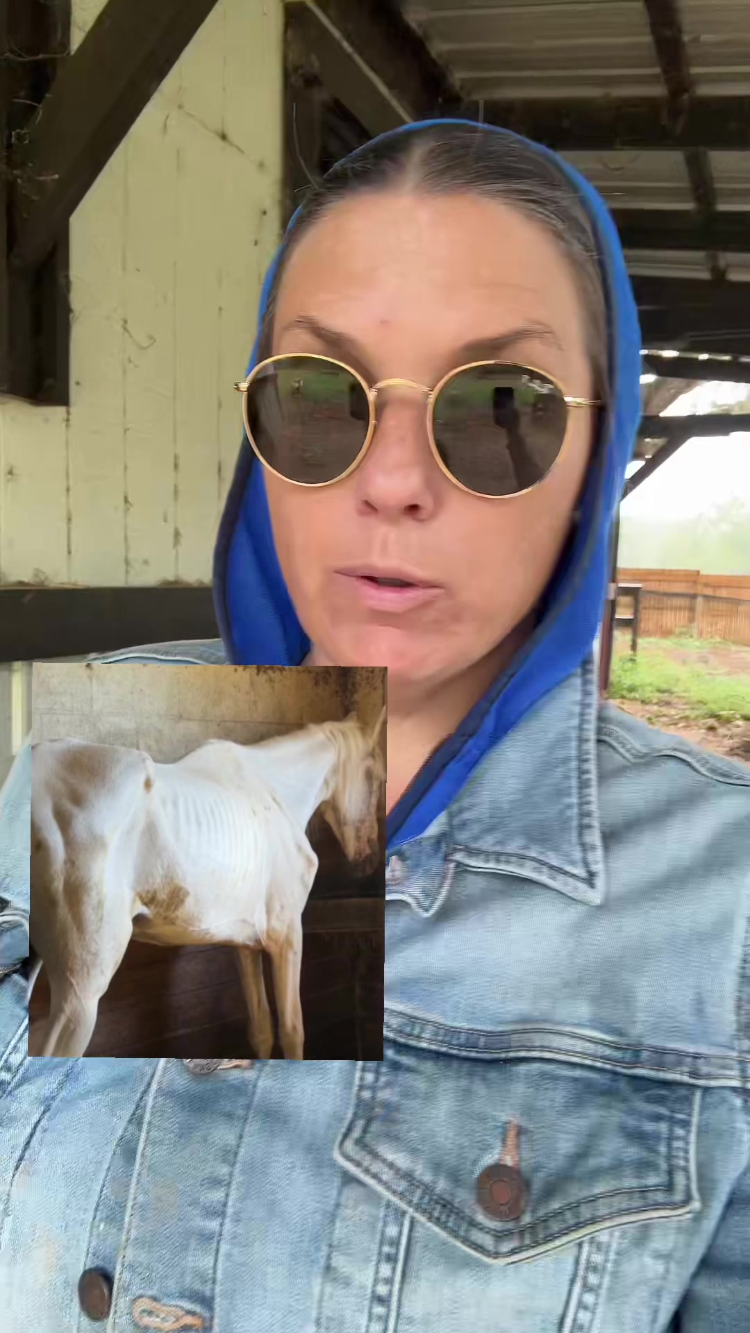 @ThePostHorseNews