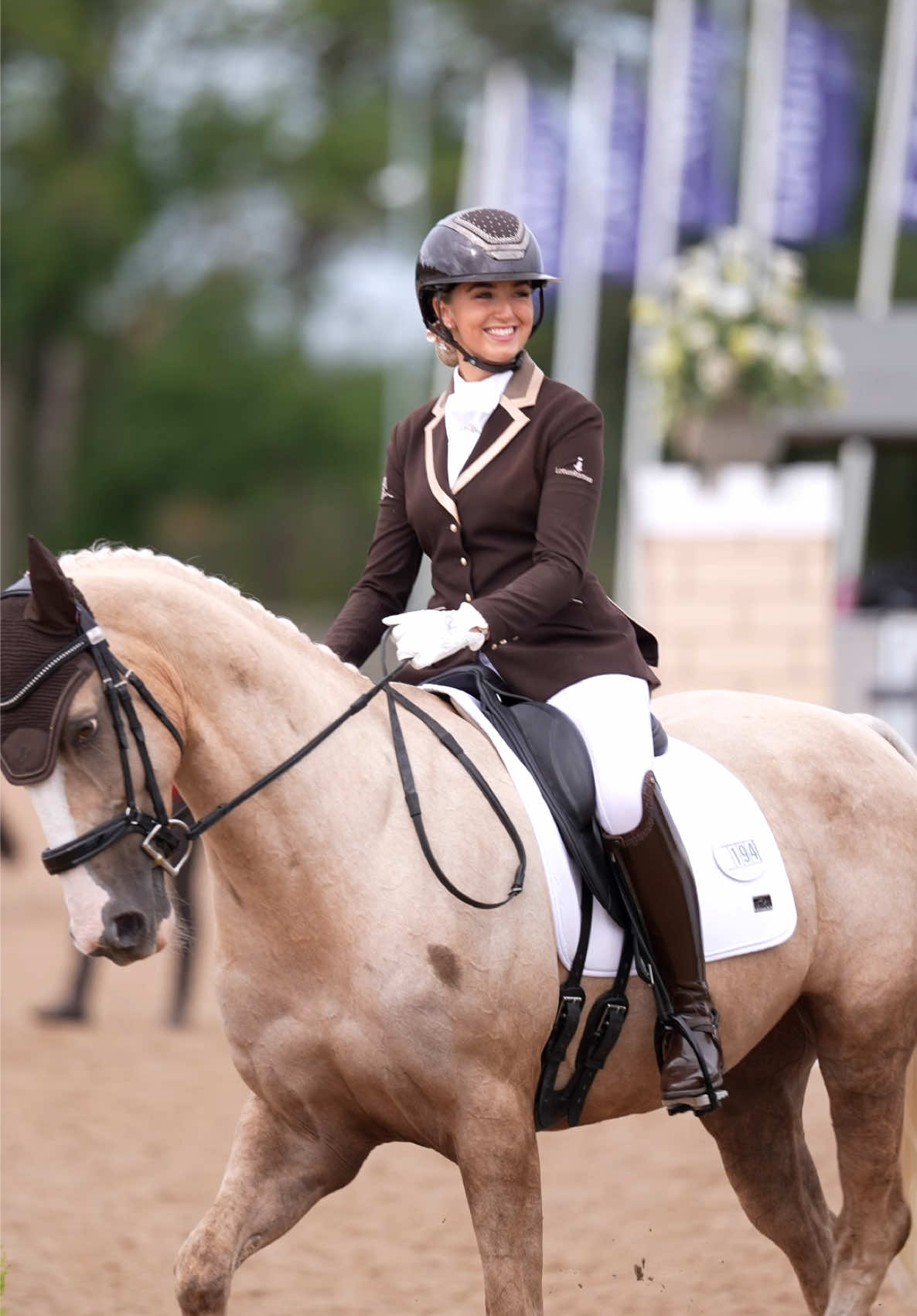 @HorseQuest - Horses for Sale