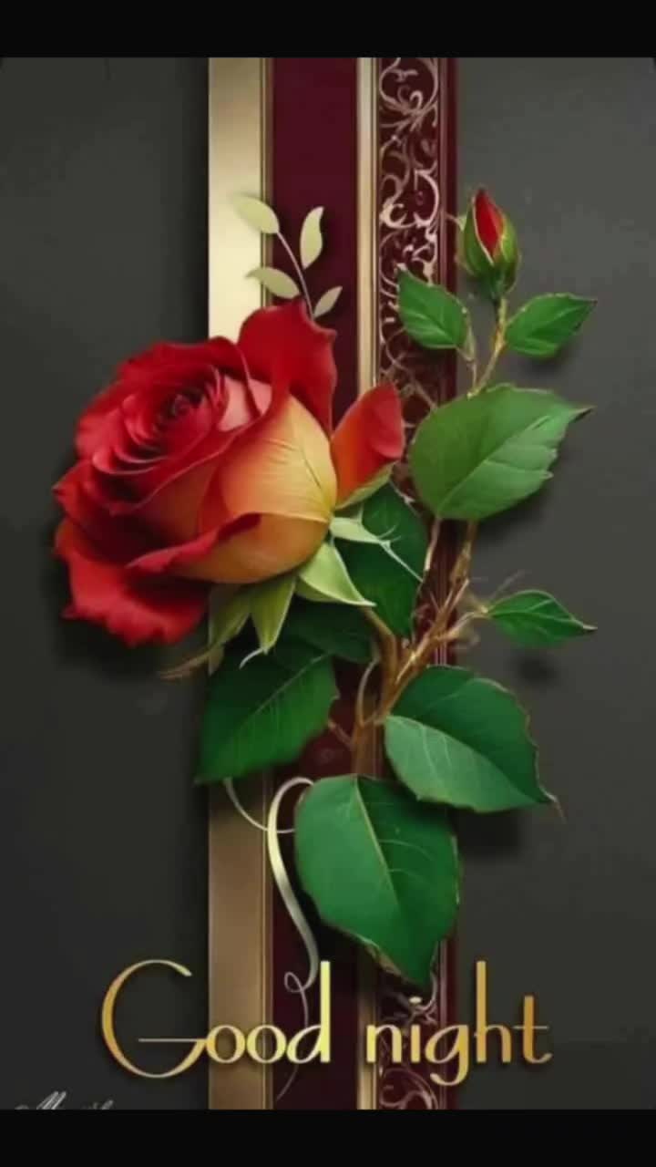 @Sai Meena