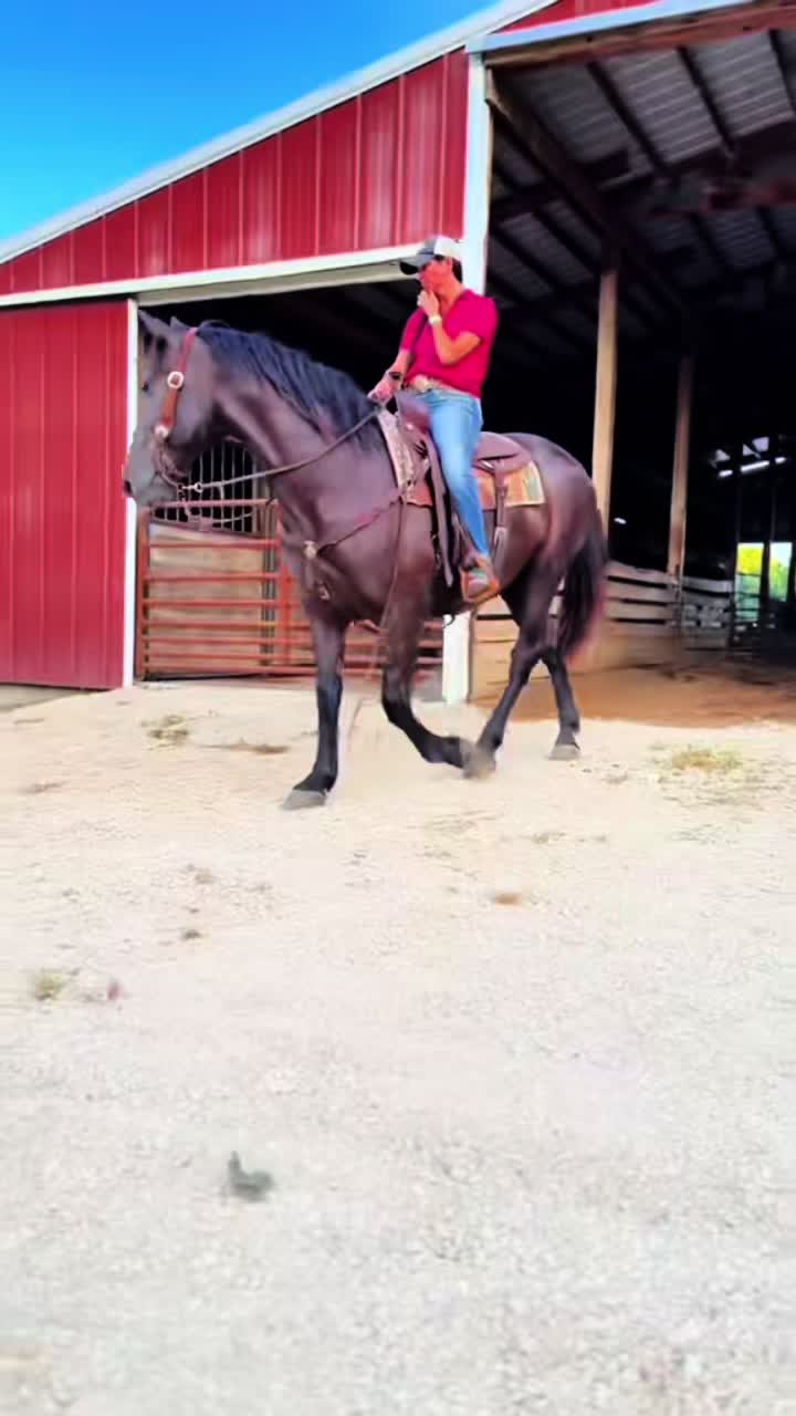 @Lucky D Ranch 🍀