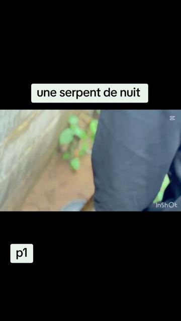 @Okomen237 tv🇮🇪🇨🇲