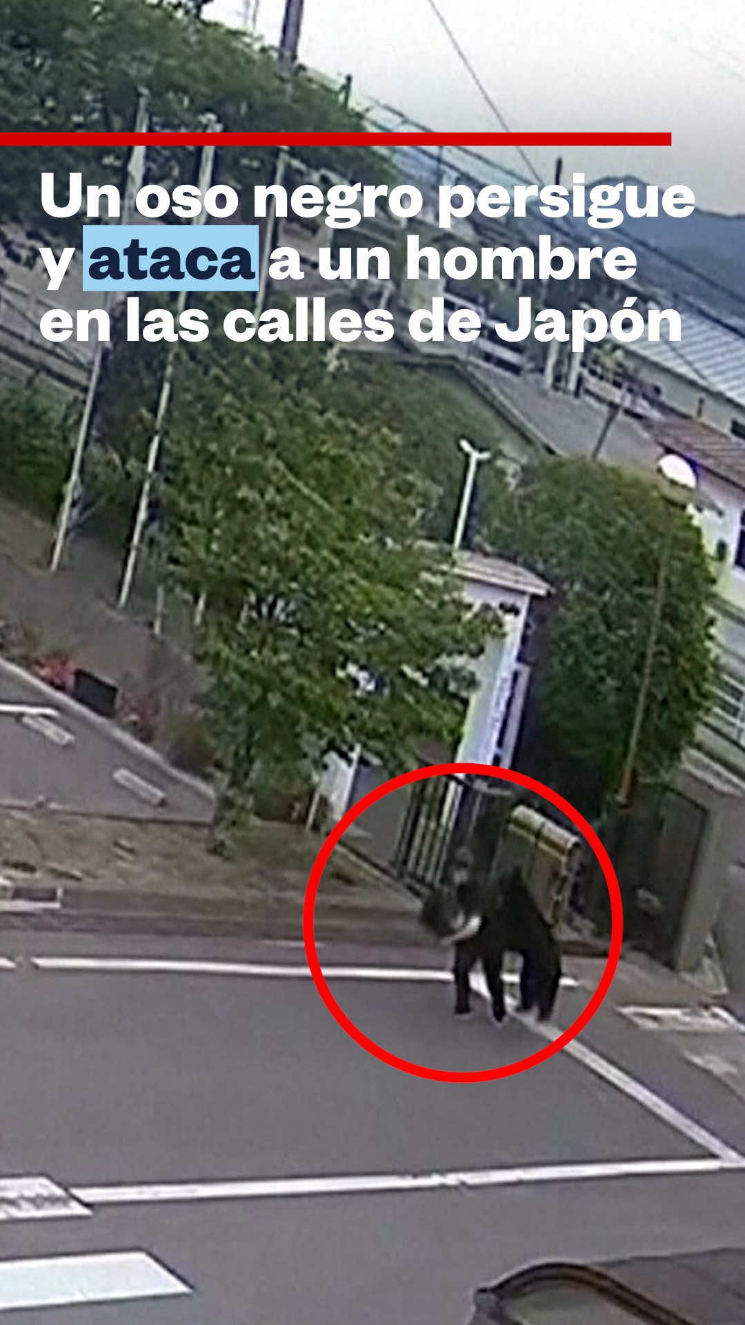 @Noticias Telemundo