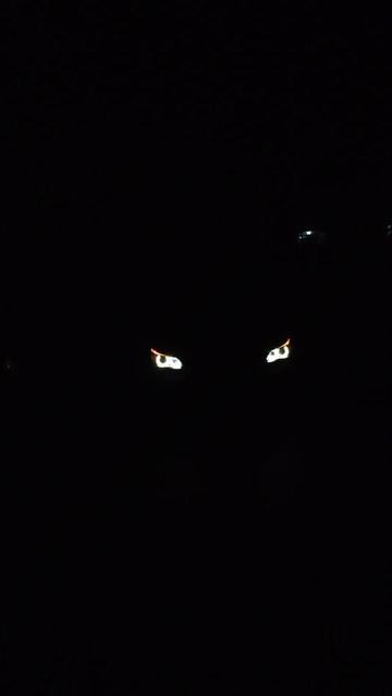@THE DARKSIDE