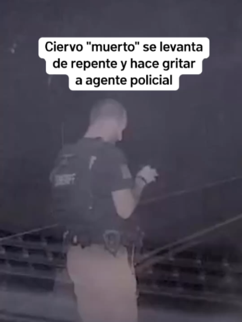 @Telemundo PR