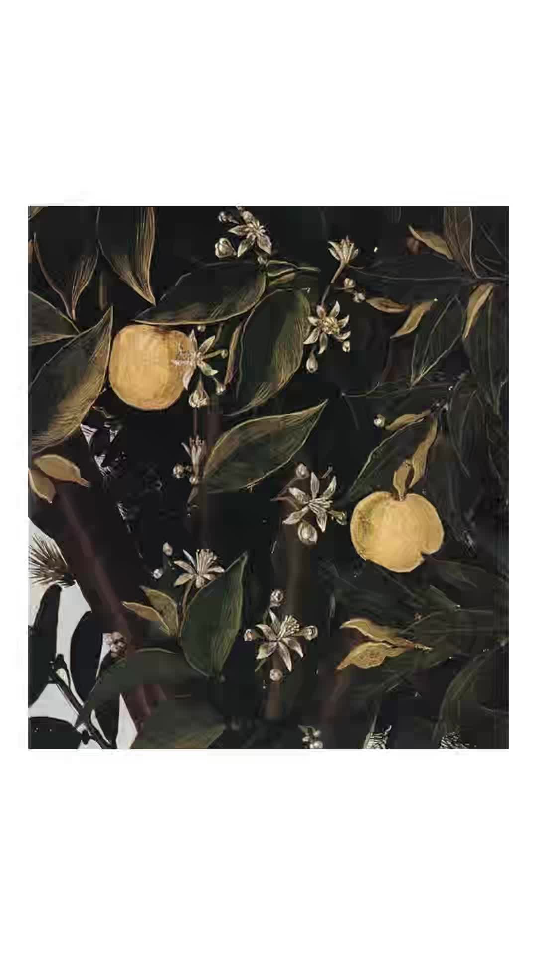 @ֹ ωყᥒᥒᥱ 𓂅 ̼