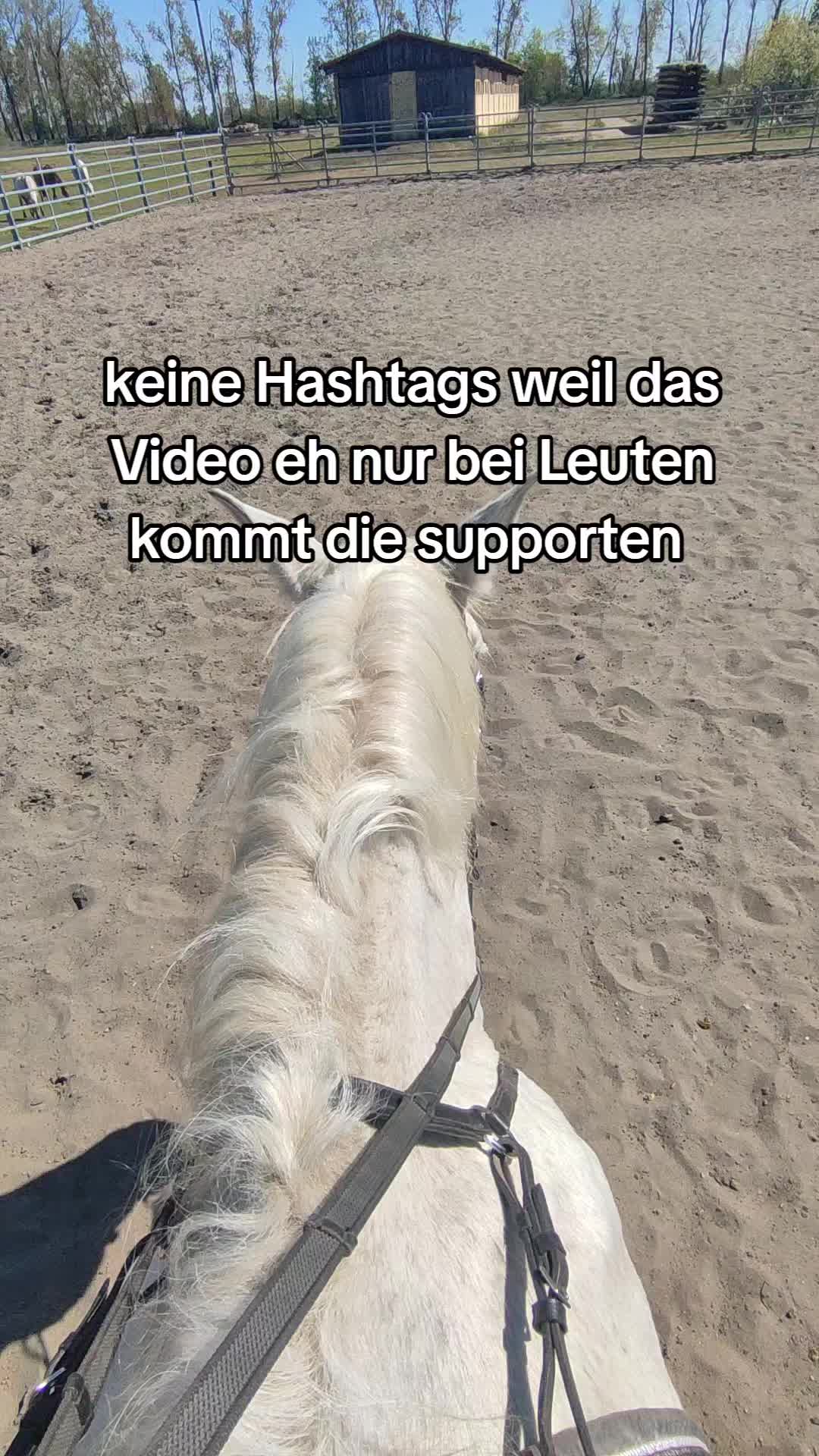 @Horses 🫶🌺