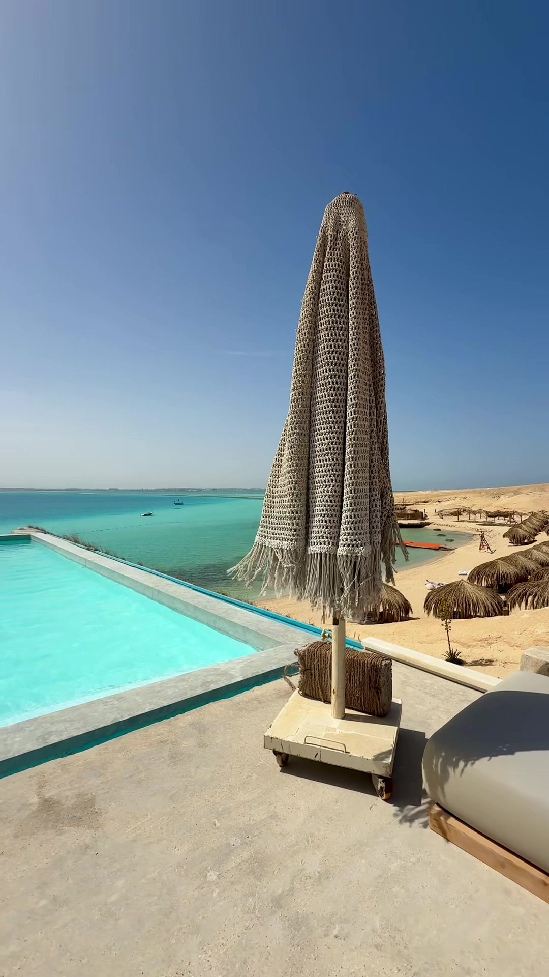 @Enjoy Hurghada 🐬