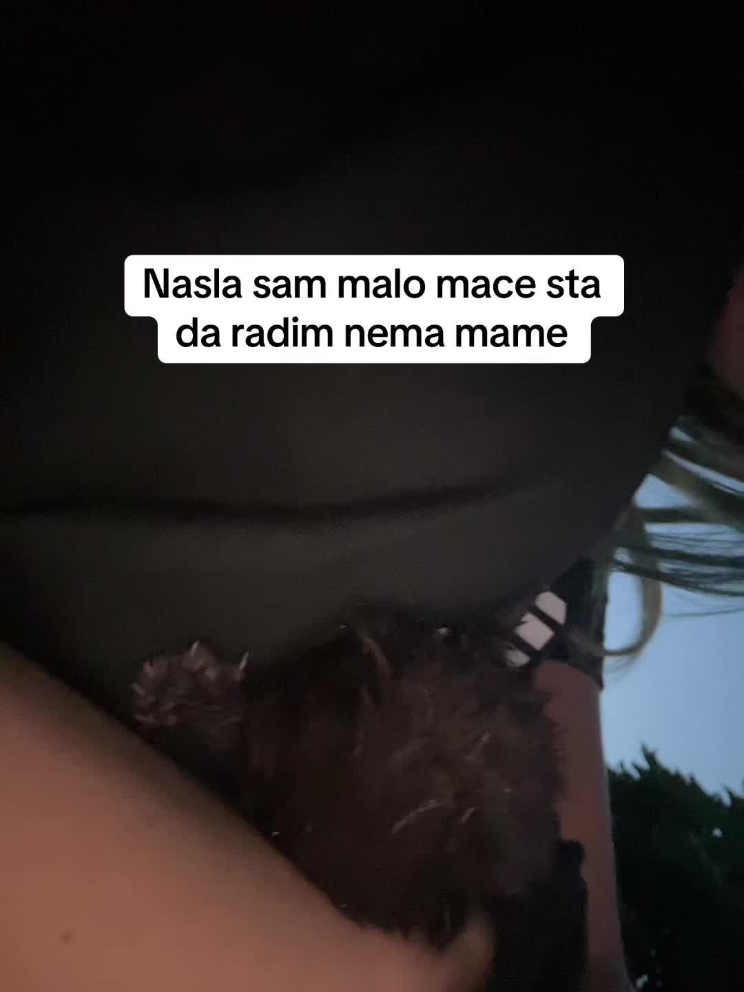 @zvjeky