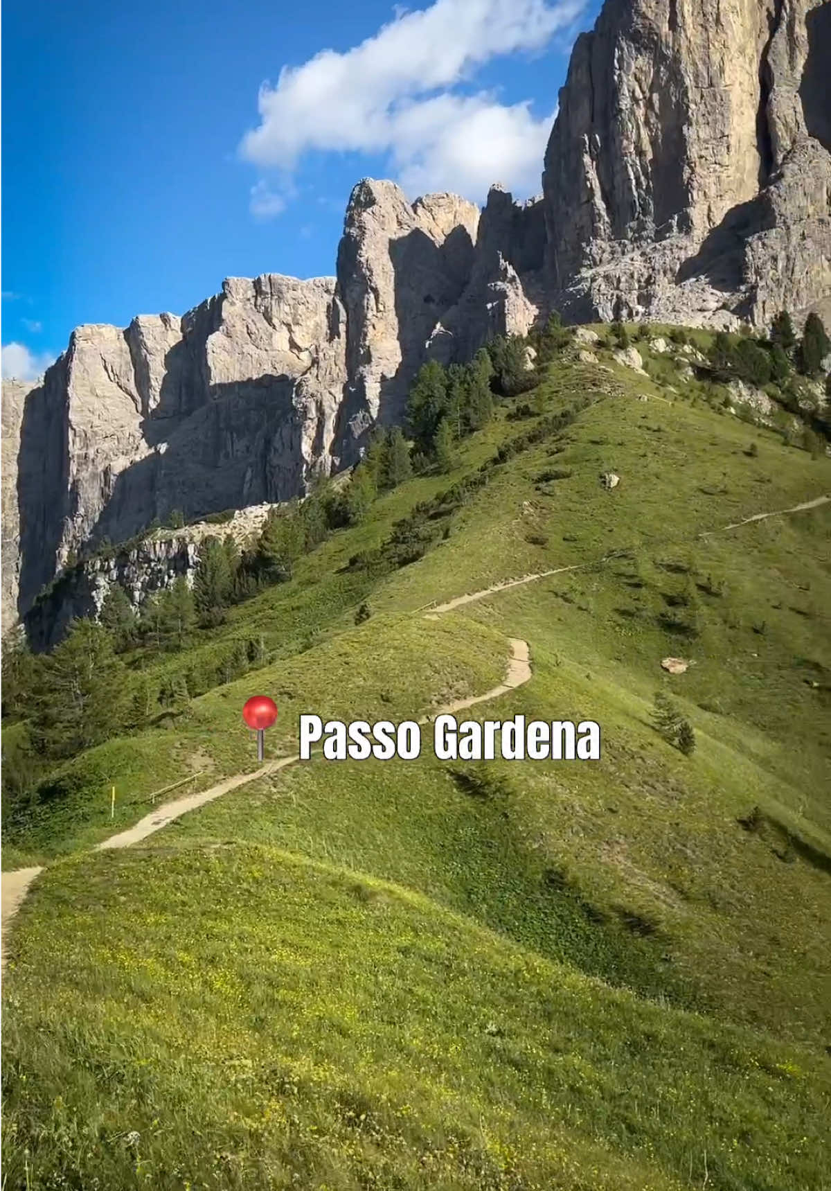 @gen_flora