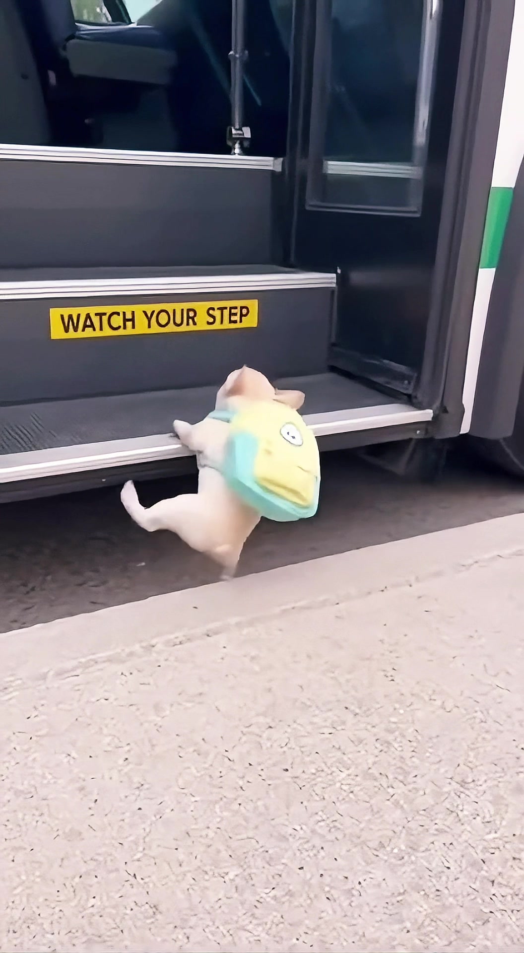 @𝐅𝐫𝐞𝐧𝐜𝐡𝐢𝐞𝐬.𝐛𝐚𝐛𝐲