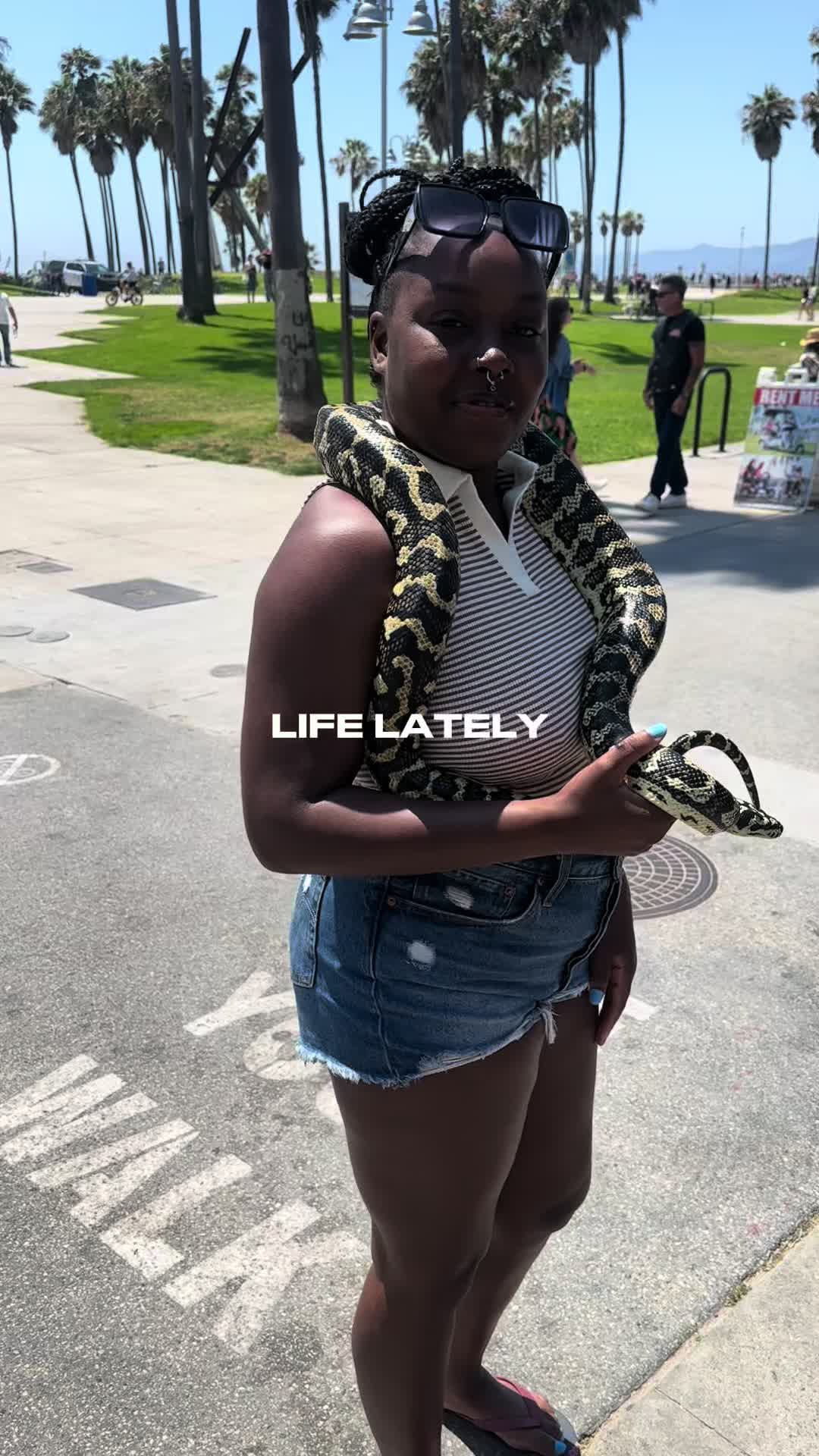 @Cocoabby