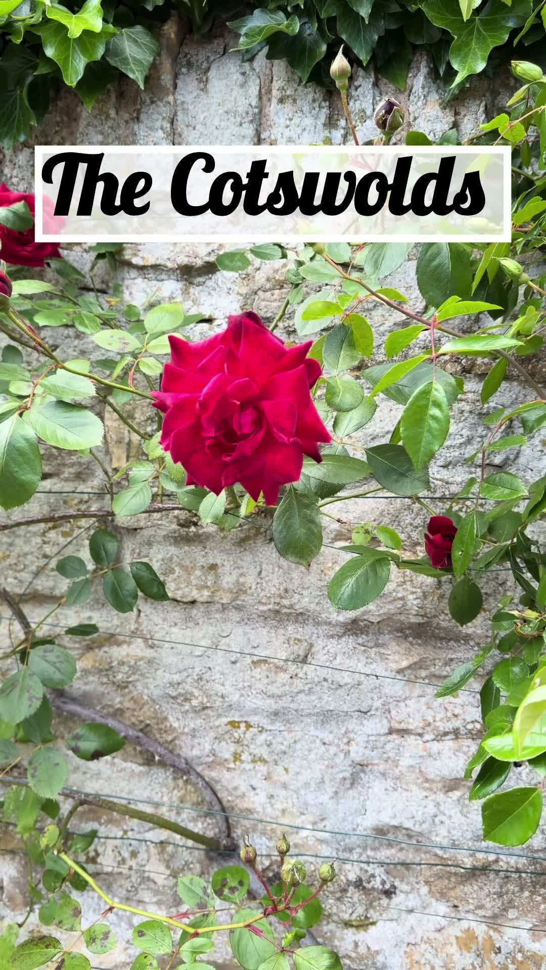 @Annabel in the Cotswolds ๐ฟ