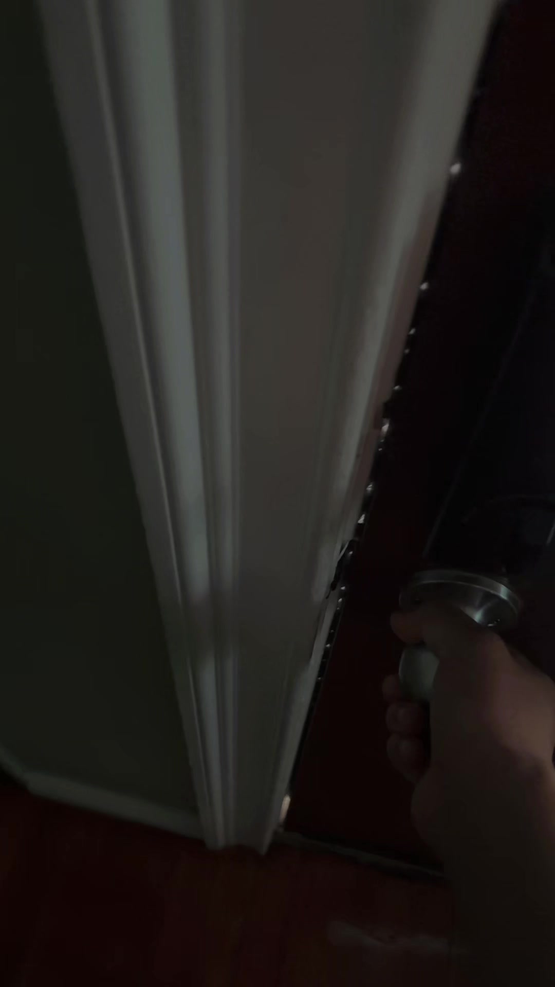 @LUIgI🕷️