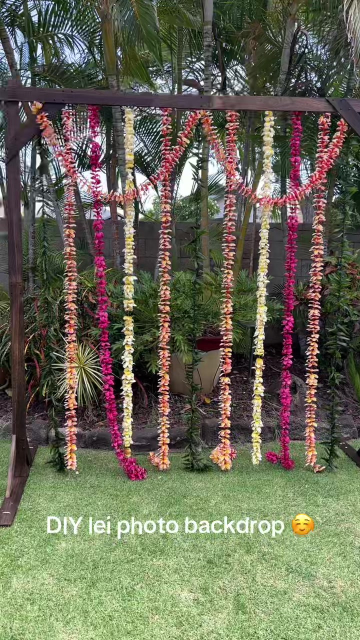 @Logan 🌺