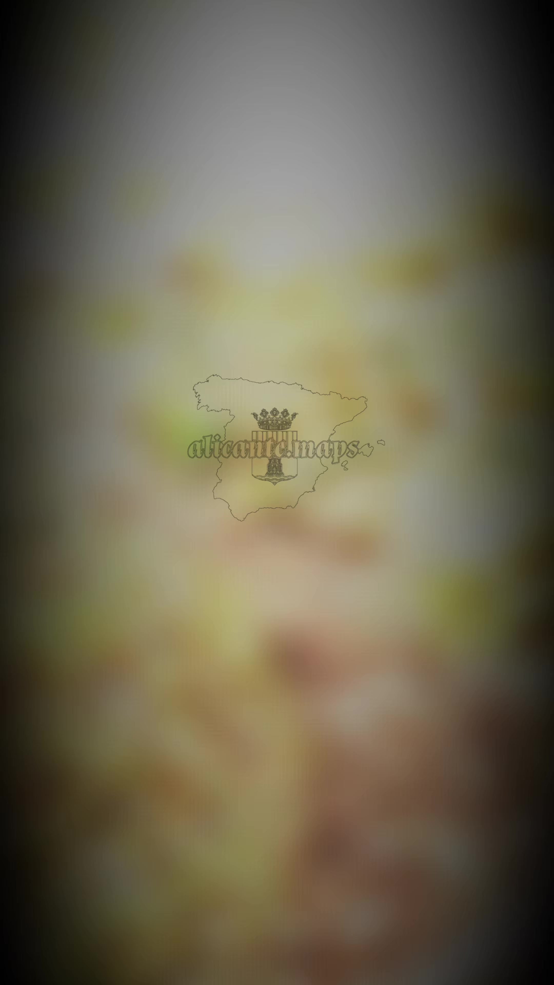 @๐๐๐๐๐๐๐๐๐๐๐๐๐ช๐ธโ๏ธ