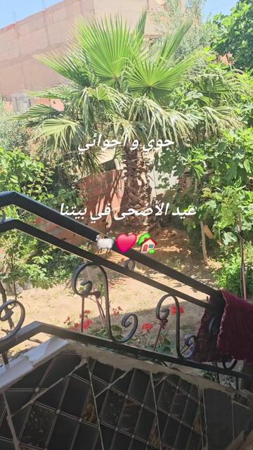 @أم أولادي