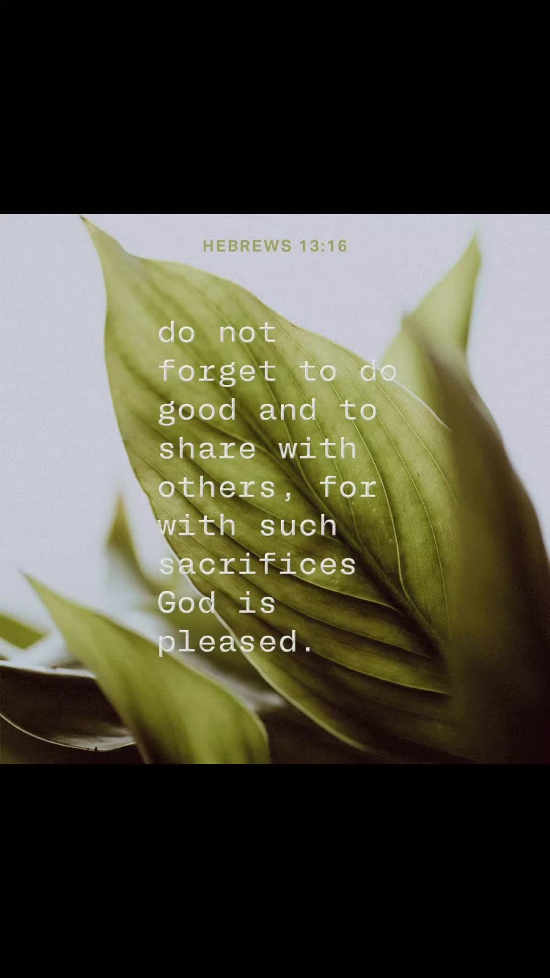 @Humble_Beginngs101
