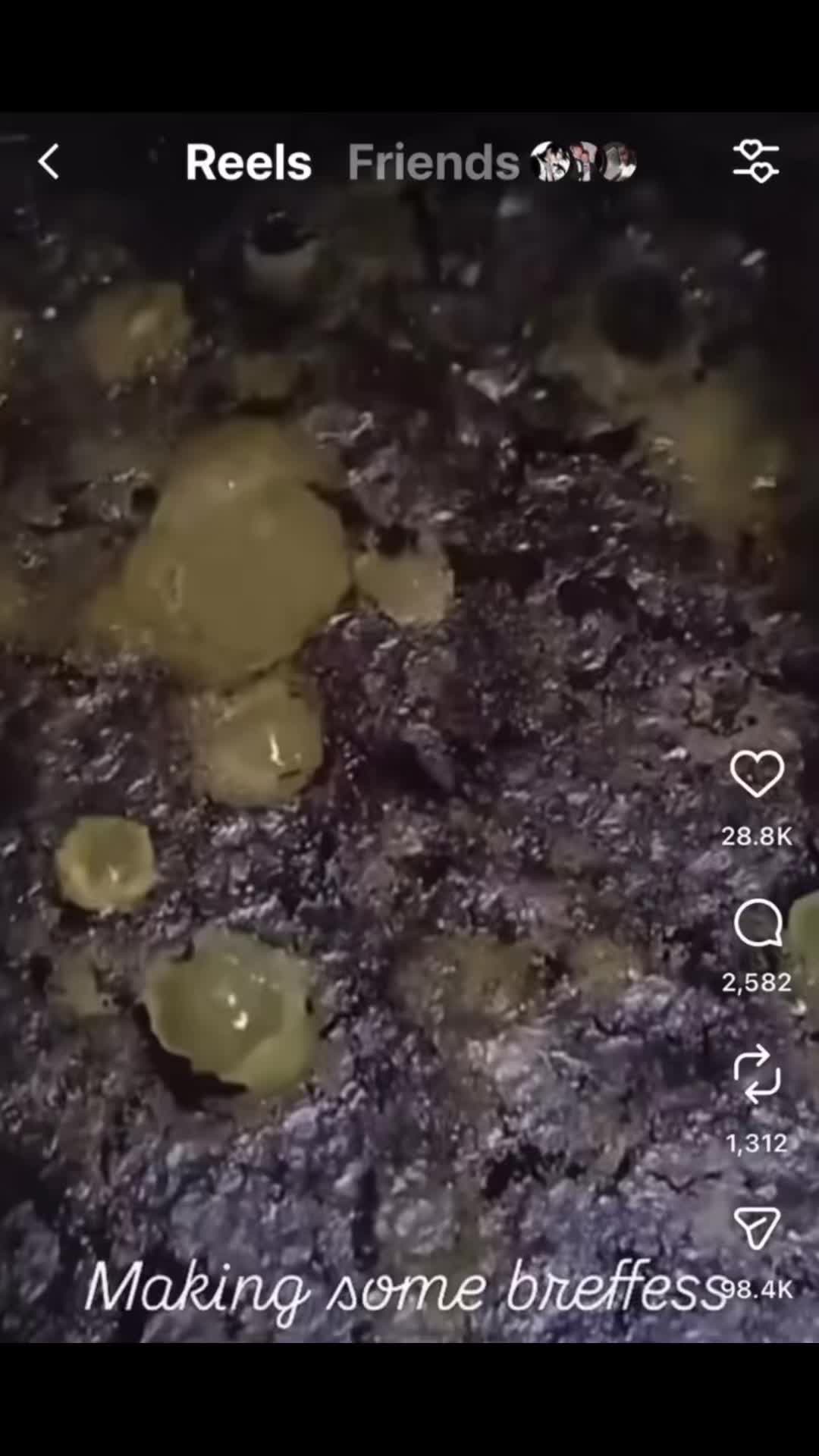 @Asingledorito