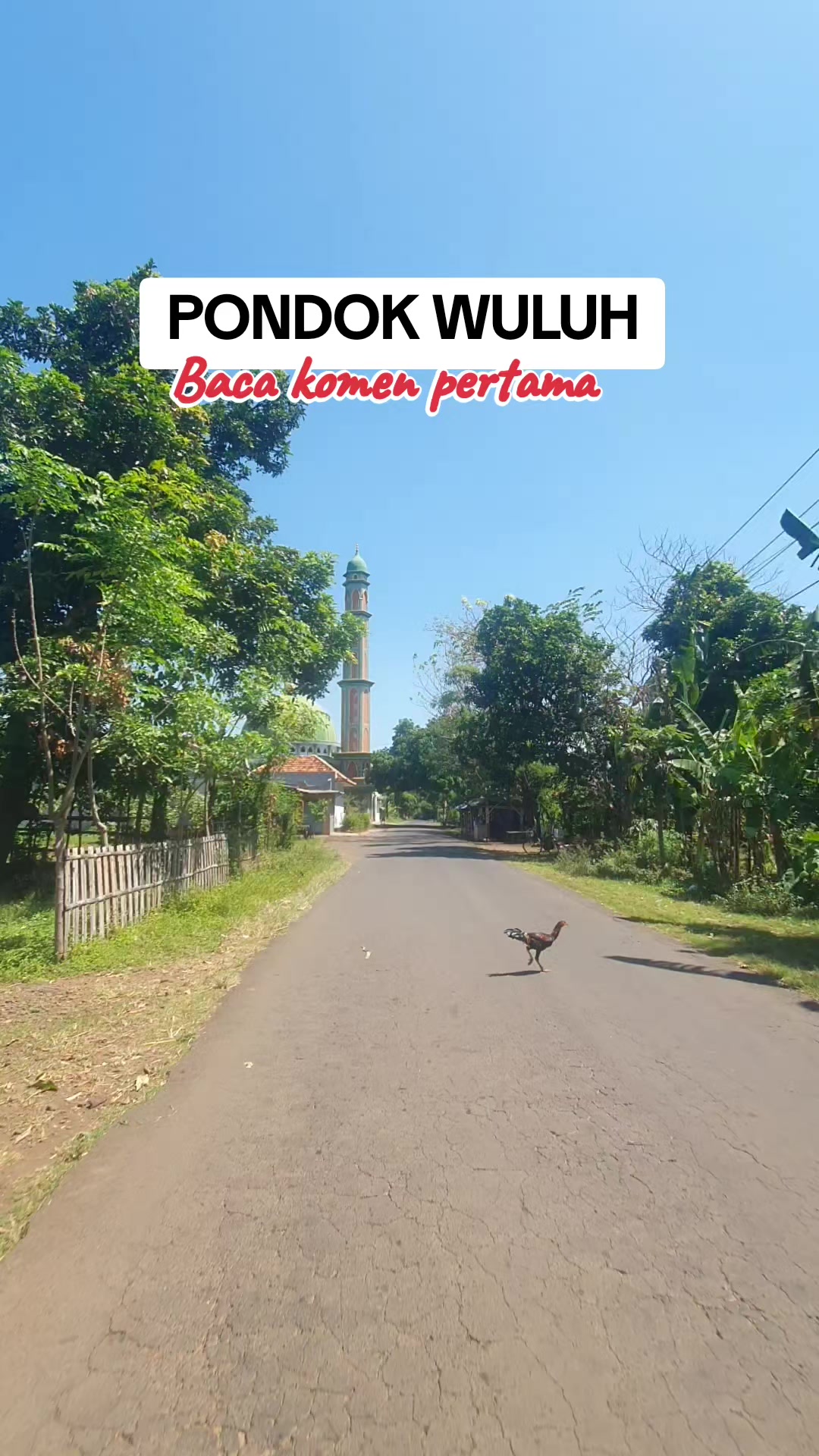 @T@RETAN PROBOLINGGO