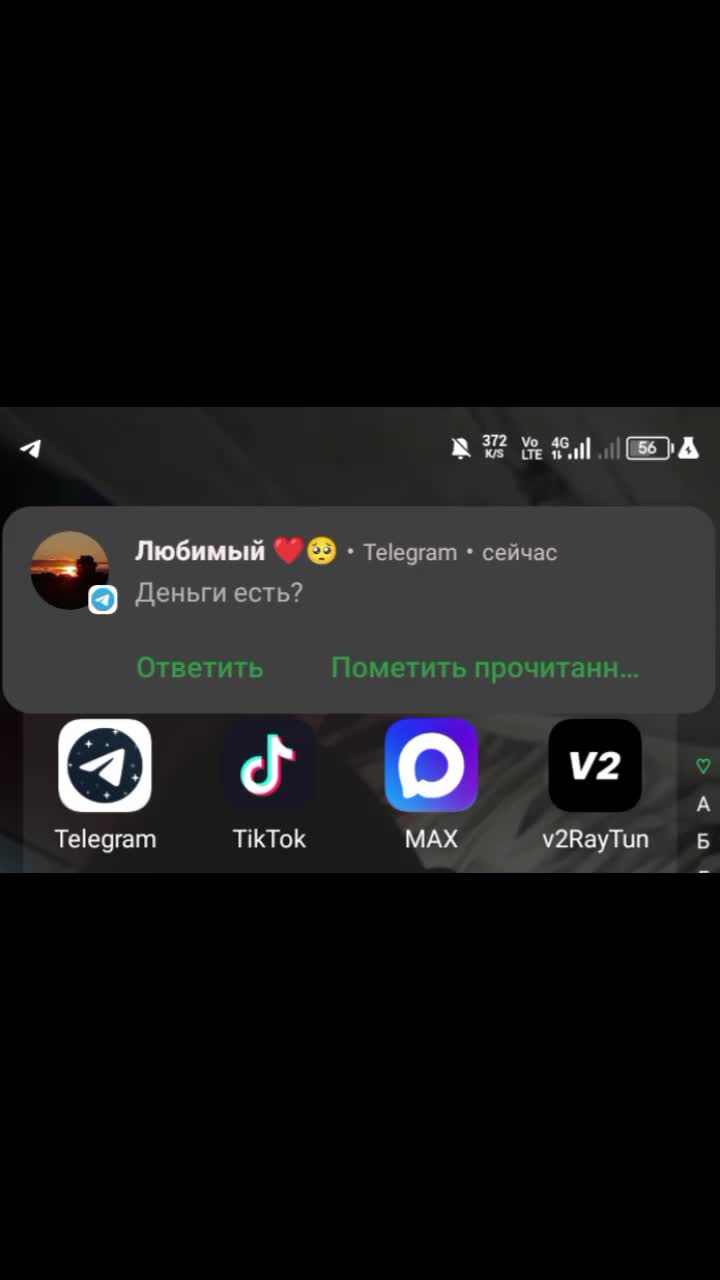@🥷𝚣𝚕𝚞𝚔𝚊🥷