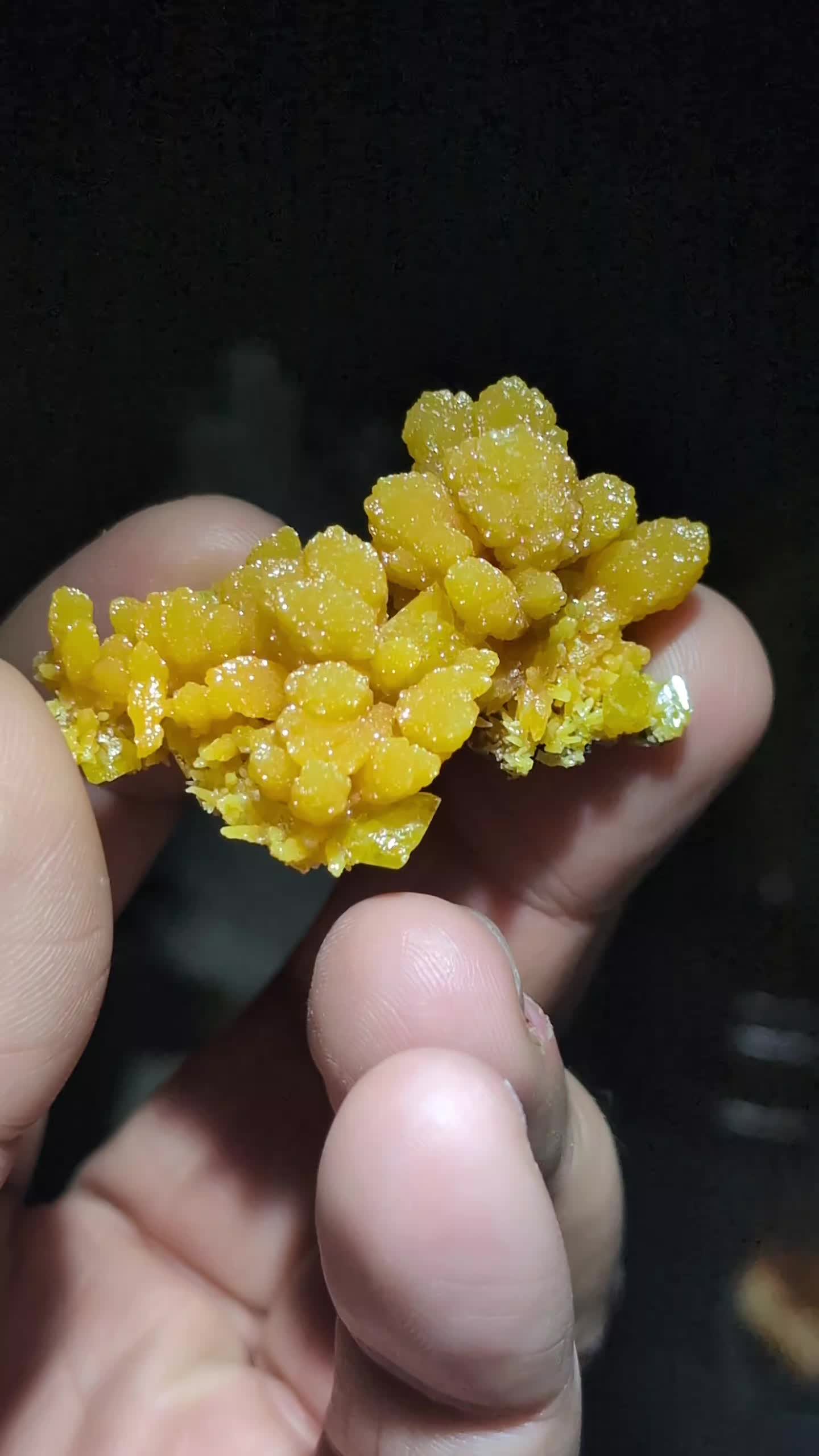 @Wrex Crystals