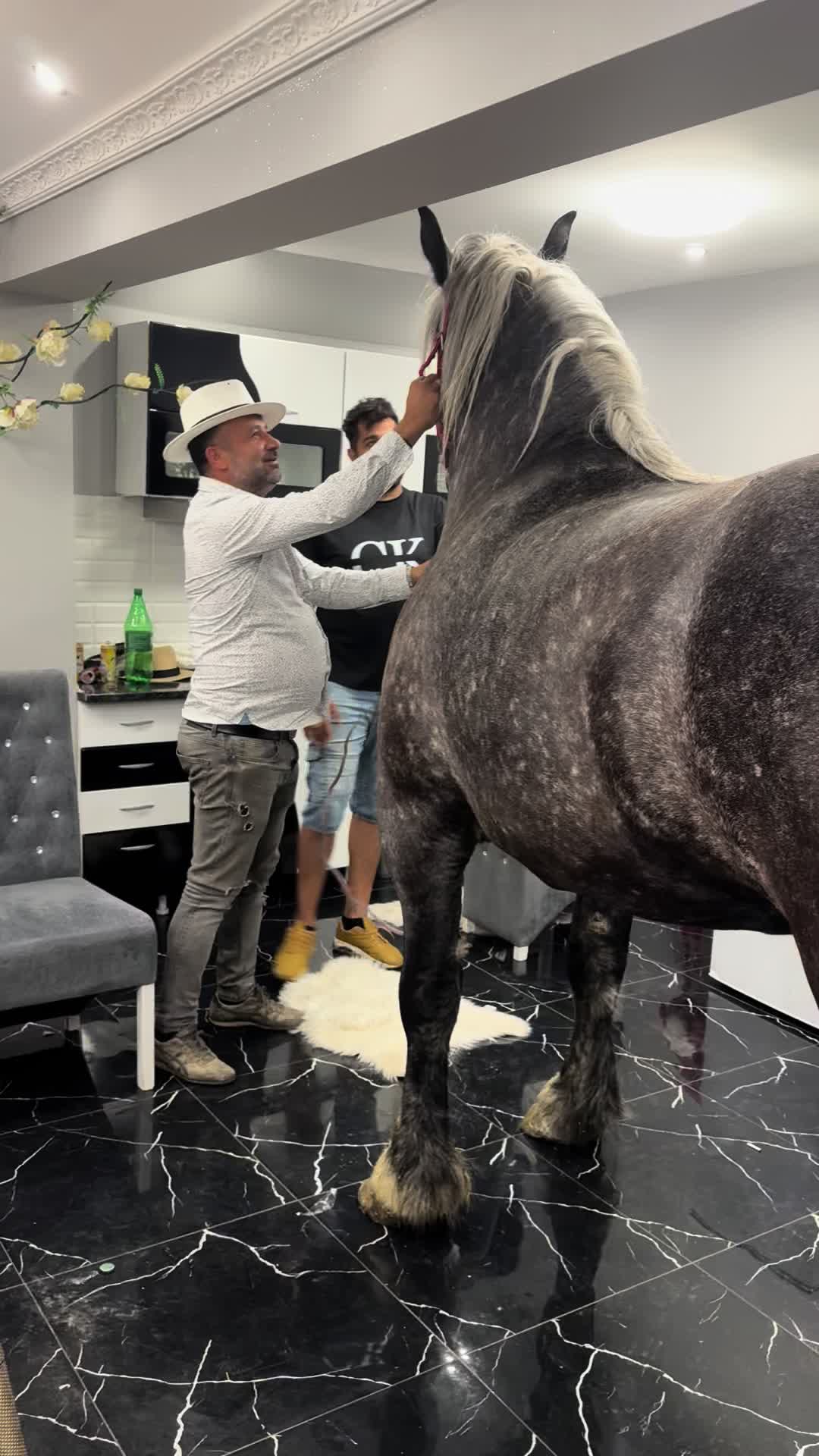 @🐴Spartanu🐴