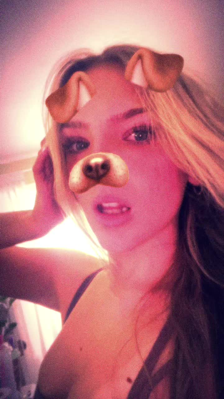 @🐶