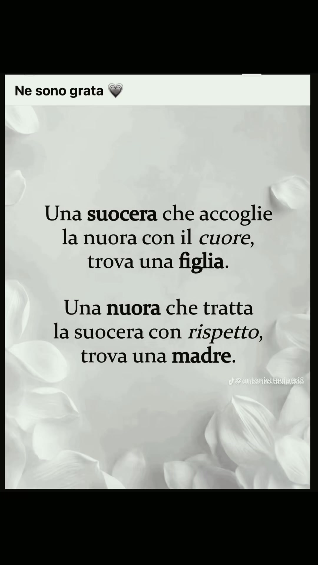 @SS🍒