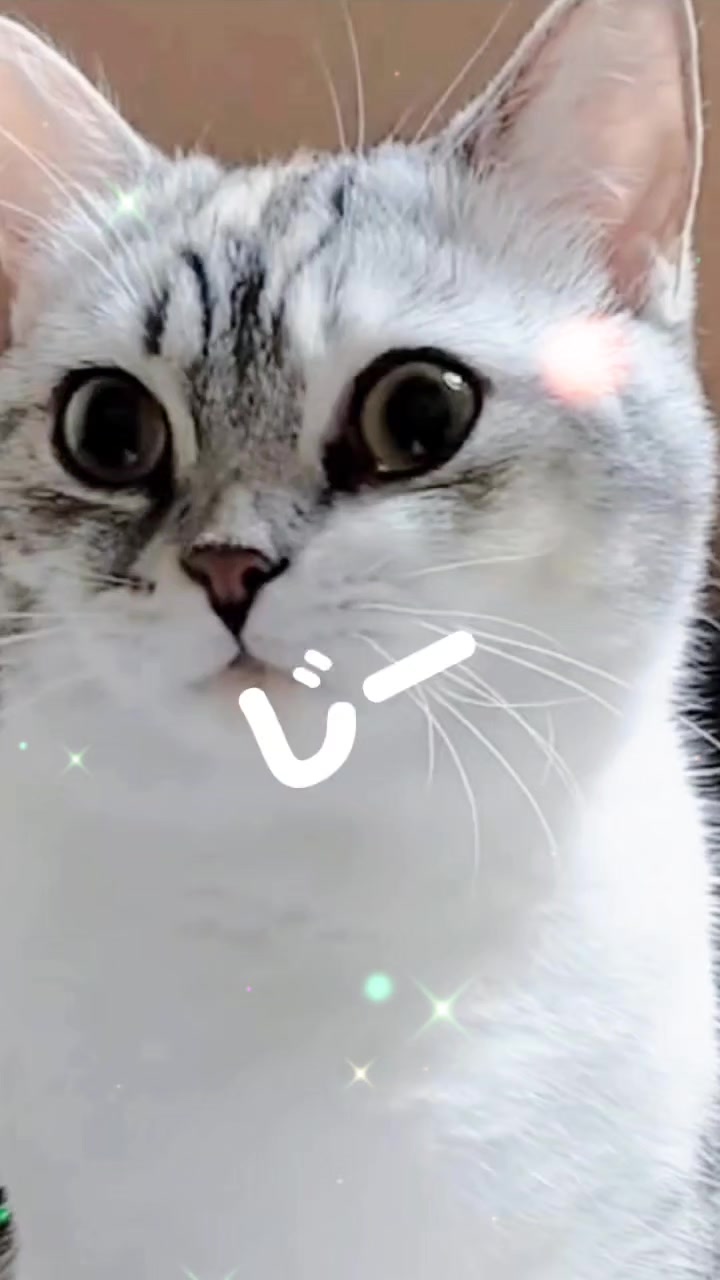@くるくる8