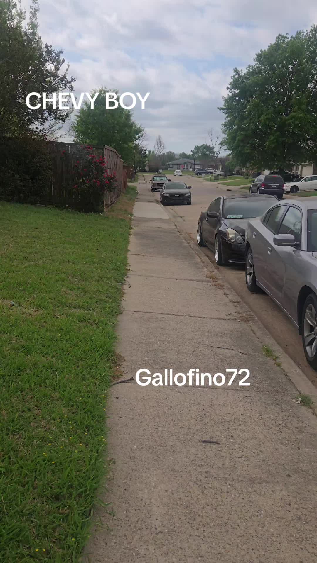@ElGalloFino