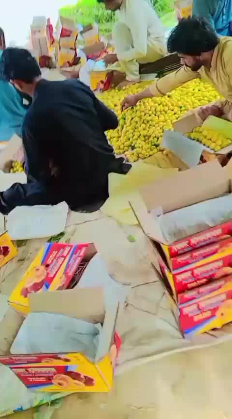 @yasararafat571