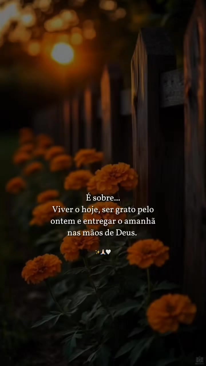 @@frases.que.coleciono❤️