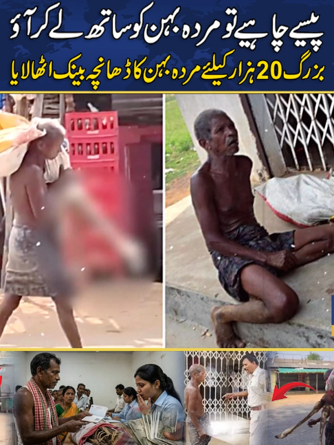 @PZ Prime News