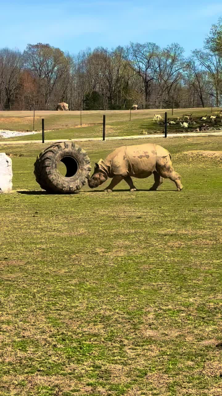 @southlandsafari