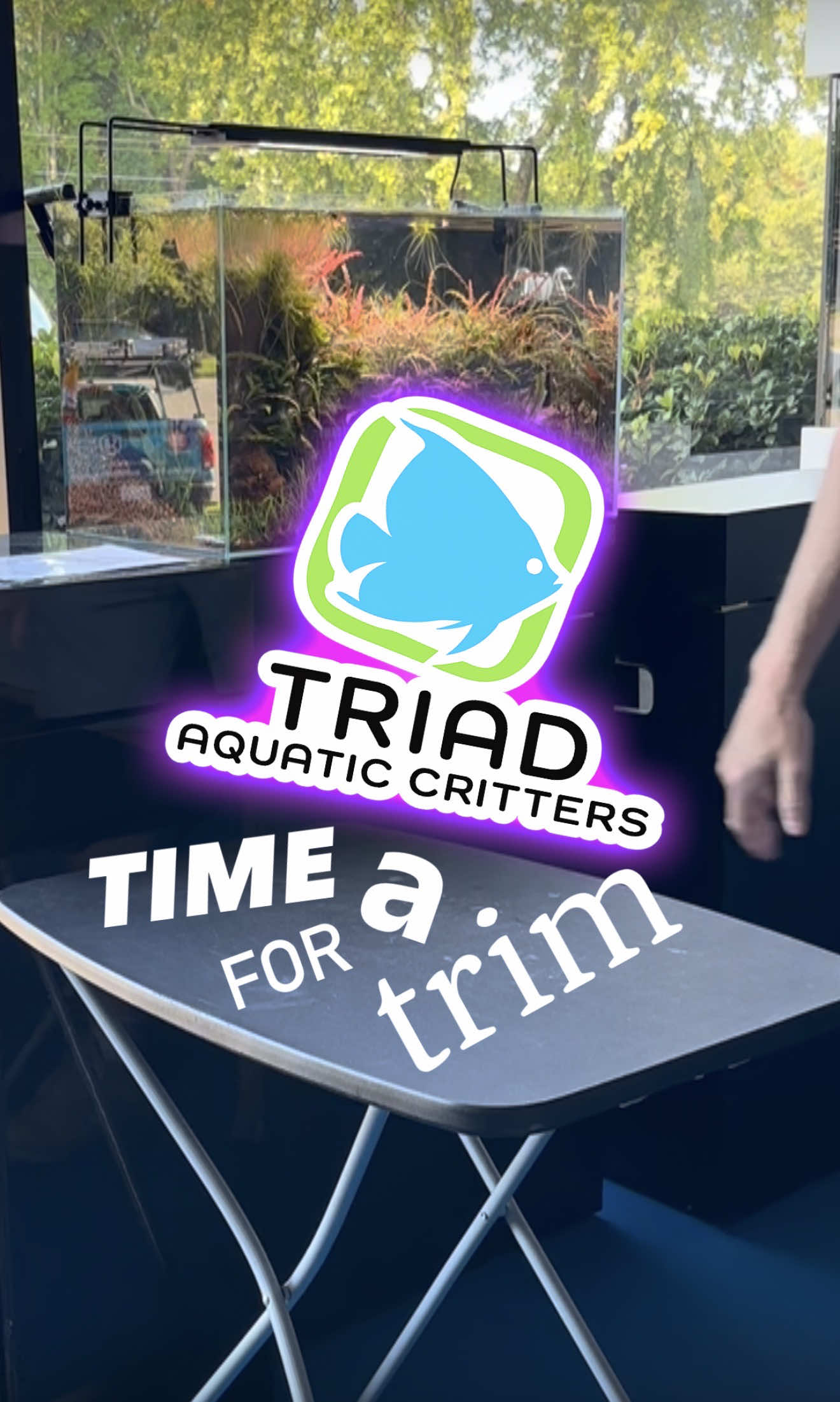 @Triad Aquatic Critters