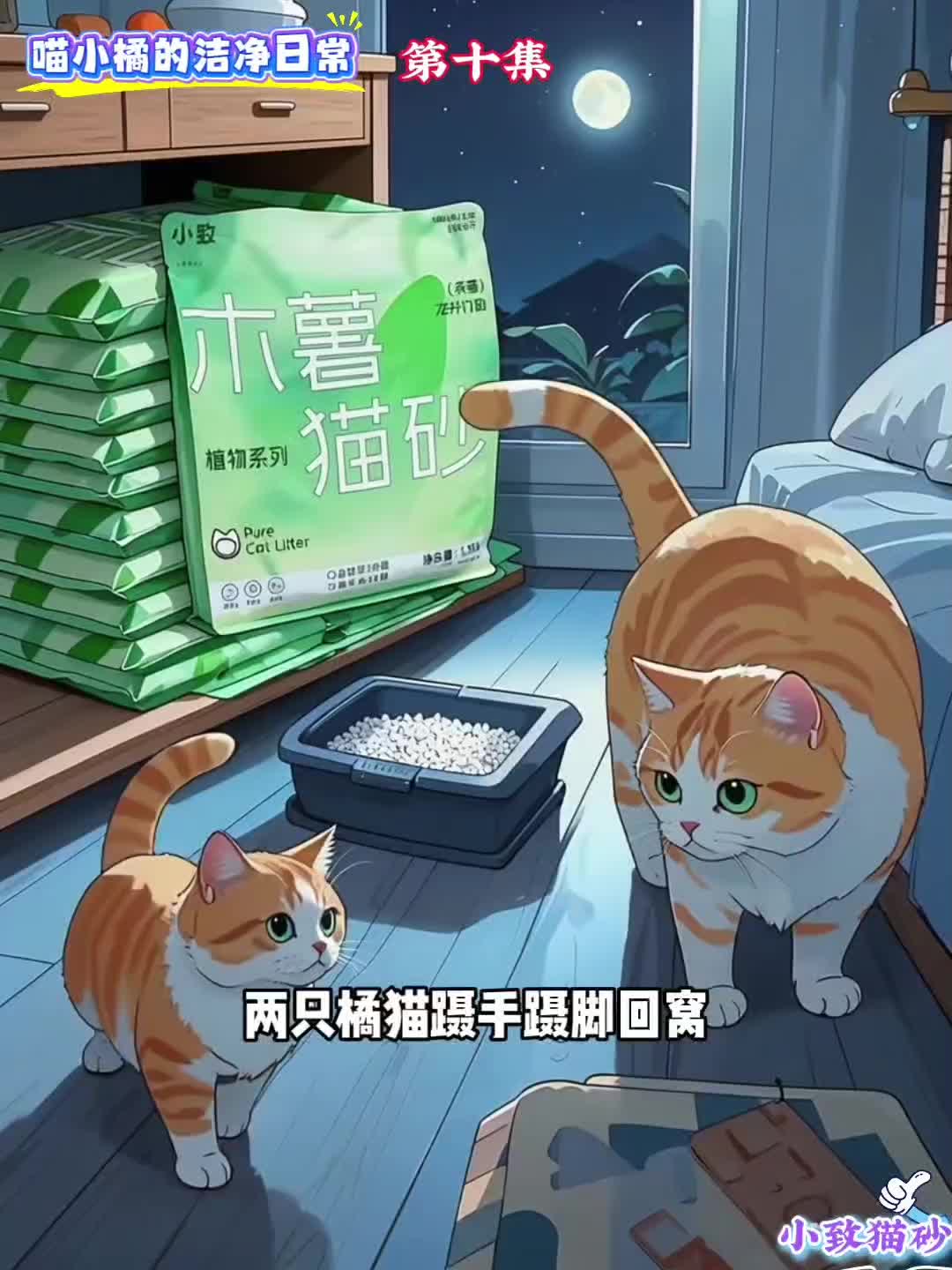@小致猫砂国内外招代理商