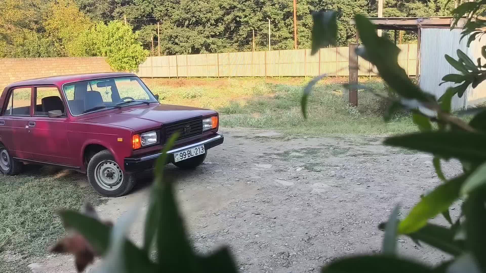 @bagirovhh.44